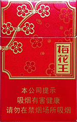 中南海（冰耀中支）